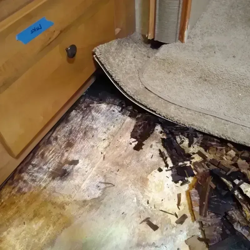 Wood Floor Water Damage in Cocoa, FL